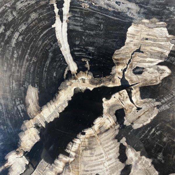 Couchtisch aus versteinertem Holz - Mix #489B21 – Bild 2