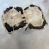 Couchtisch aus versteinertem Holz - Mix #30B7 – Bild 3