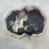Couchtisch aus versteinertem Holz - Mix #11B1