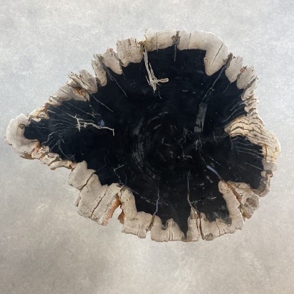 Versteend hout salontafel