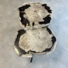 Couchtisch aus versteinertem Holz - Mix #30B7 – Bild 4