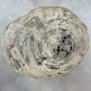 Couchtisch aus versteinertem Holz - Beige #185B20 – Bild 2