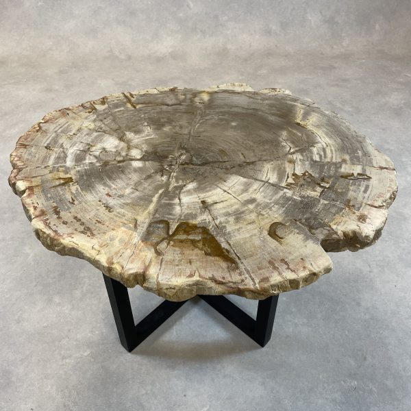 Couchtisch aus versteinertem Holz