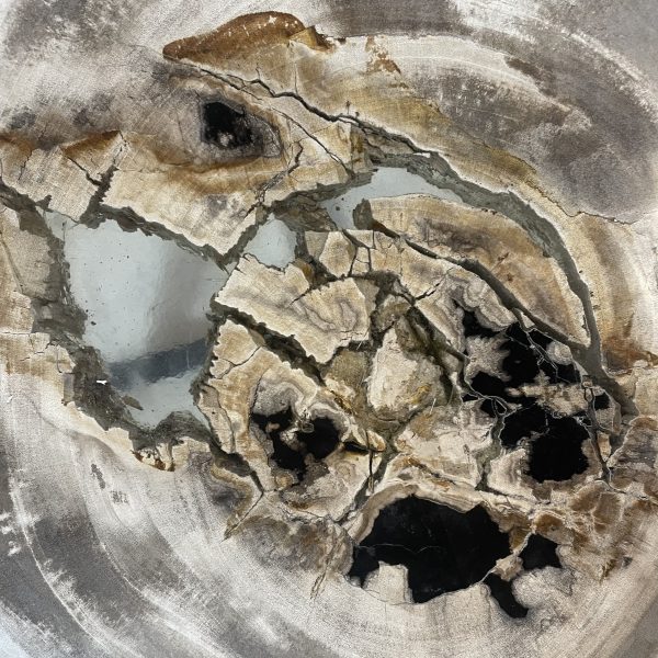 Couchtisch aus versteinertem Holz