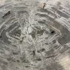 Versteend hout salontafel