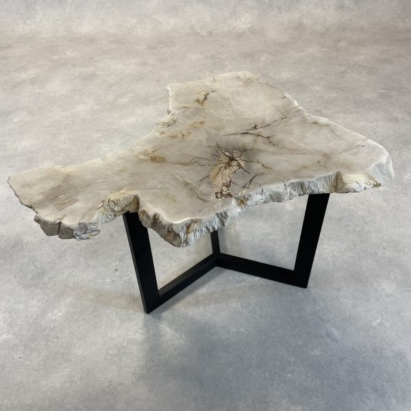 Versteend hout salontafel