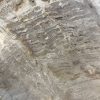Versteend hout salontafel