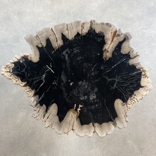 Versteend hout salontafel