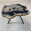 Couchtisch aus versteinertem Holz