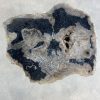 Couchtisch aus versteinertem Holz