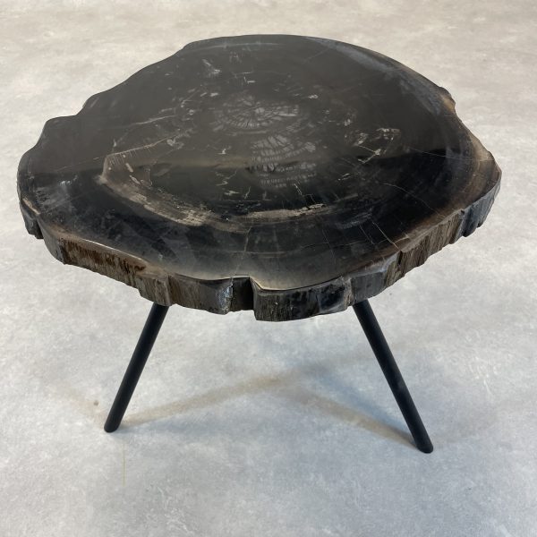 Versteend hout salontafel