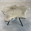 Couchtisch aus versteinertem Holz - Beige #302B11
