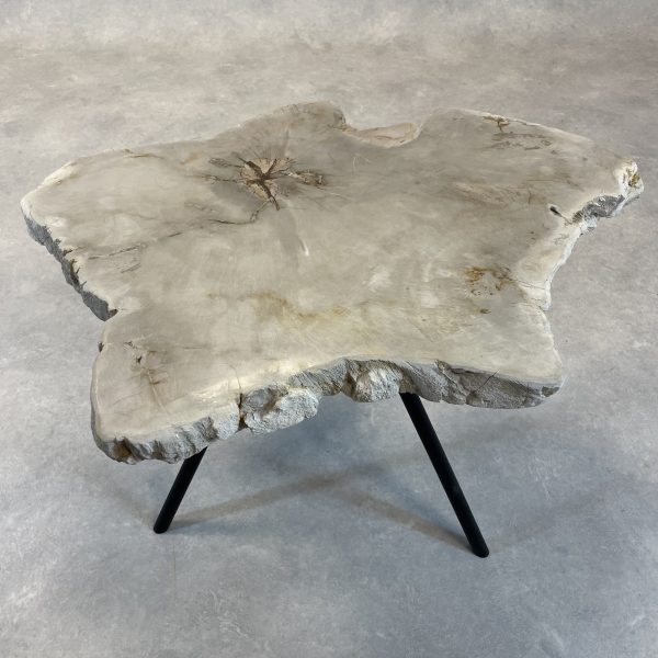 Couchtisch aus versteinertem Holz - Beige #302B11