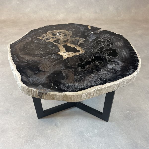 Couchtisch aus versteinertem Holz - Schwarz #109B20
