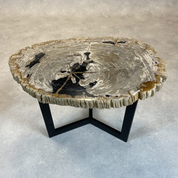 Couchtisch aus versteinertem Holz - Mix #34B7