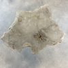 Couchtisch aus versteinertem Holz - Beige #302B11 – Bild 2