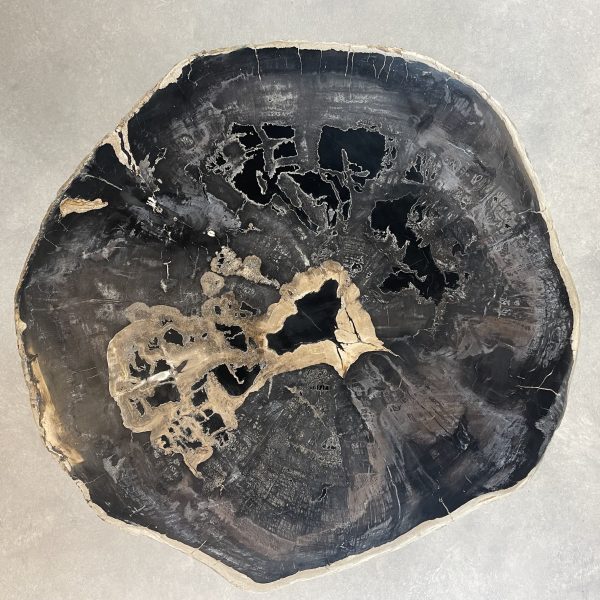 Couchtisch aus versteinertem Holz - Schwarz #109B20 – Bild 2