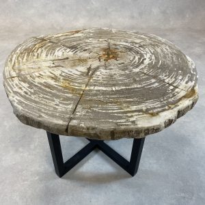 Couchtisch aus versteinertem Holz