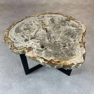 Versteend hout salontafel