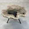 Versteend hout salontafel