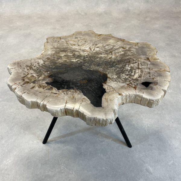 Couchtisch aus versteinertem Holz - Mix #90B4