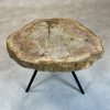 Couchtisch aus versteinertem Holz - Beige #132B7