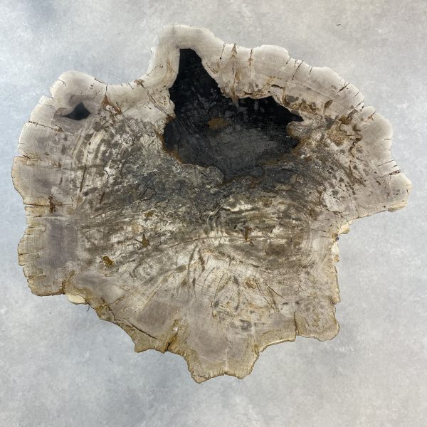 Couchtisch aus versteinertem Holz - Mix #90B4 – Bild 2