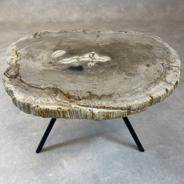 Versteend hout salontafel