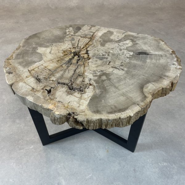 Couchtisch aus versteinertem Holz - Beige #143B20