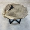 Couchtisch aus versteinertem Holz