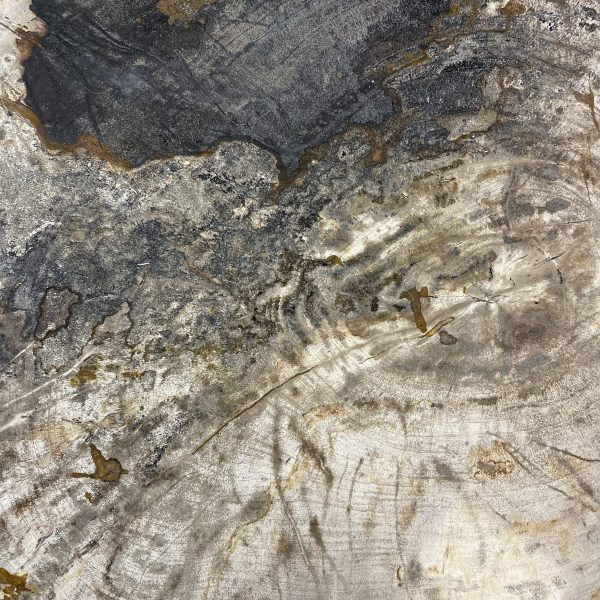 Couchtisch aus versteinertem Holz - Mix #90B4 – Bild 3