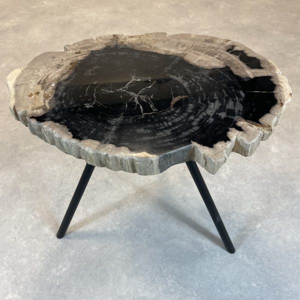 Couchtisch aus versteinertem Holz - Mix #73B7