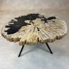 Versteend hout salontafel
