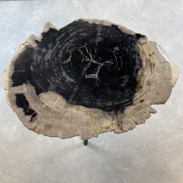 Couchtisch aus versteinertem Holz - Mix #73B7 – Bild 2