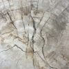 Versteend hout salontafel