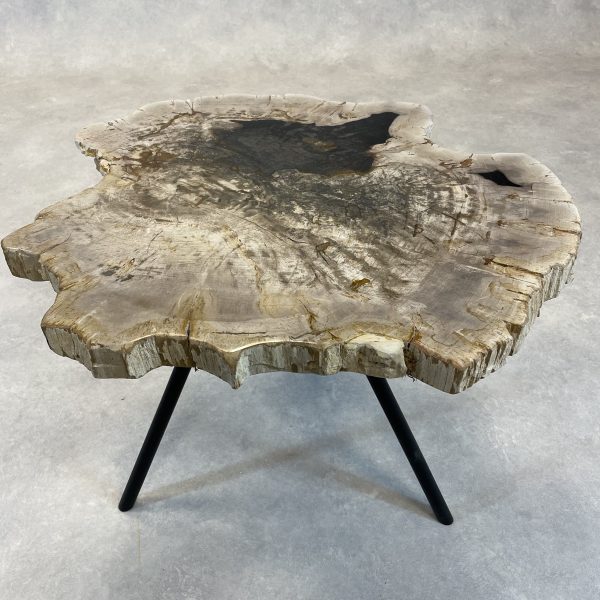 Couchtisch aus versteinertem Holz - Mix #95B4