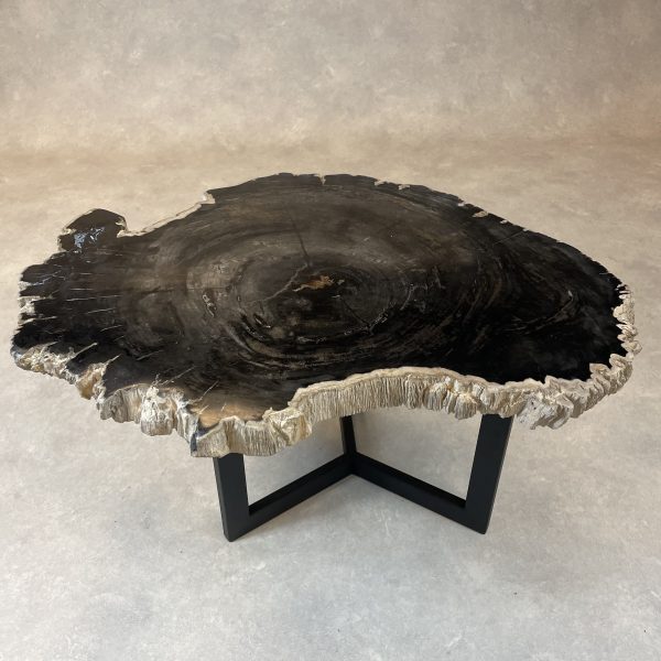 Versteend hout salontafel