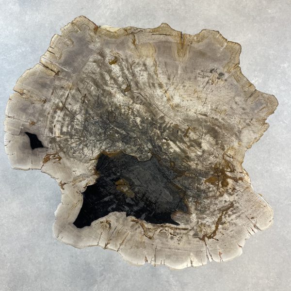 Couchtisch aus versteinertem Holz - Mix #95B4 – Bild 2
