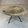 Couchtisch aus versteinertem Holz - Beige #214B5 – Bild 2