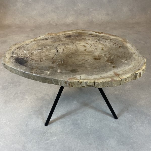 Couchtisch aus versteinertem Holz - Beige #214B5 – Bild 2