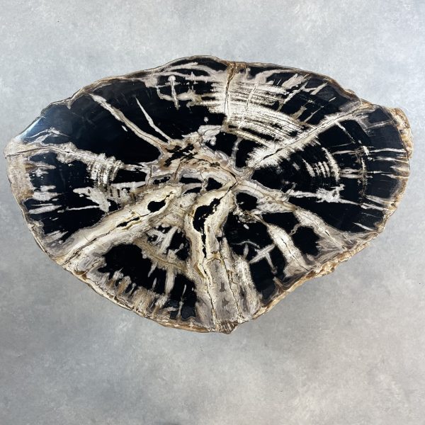 Couchtisch aus versteinertem Holz - Mix #20B1 – Bild 3