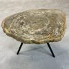 Couchtisch aus versteinertem Holz