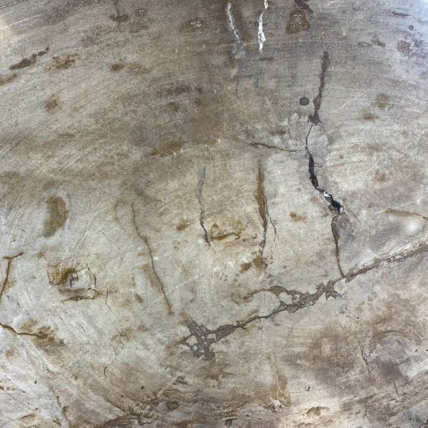 Couchtisch aus versteinertem Holz - Beige #214B5 – Bild 3