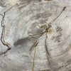Couchtisch aus versteinertem Holz - Beige #441B7 – Bild 3