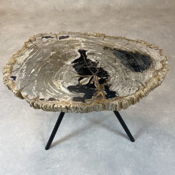 Couchtisch aus versteinertem Holz - Mix #41B5