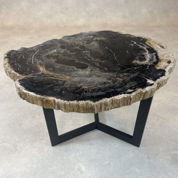 Versteend hout salontafel