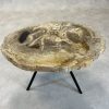 Versteend hout salontafel