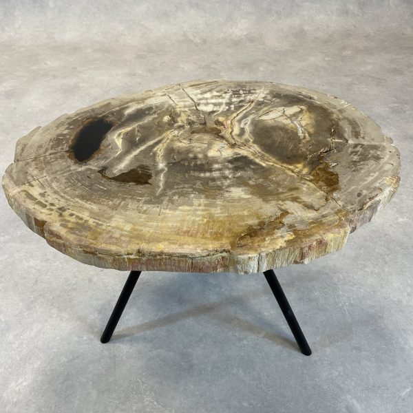 Couchtisch aus versteinertem Holz - Mix #232B4 – Bild 2