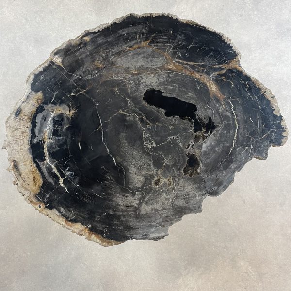 Versteend hout salontafel