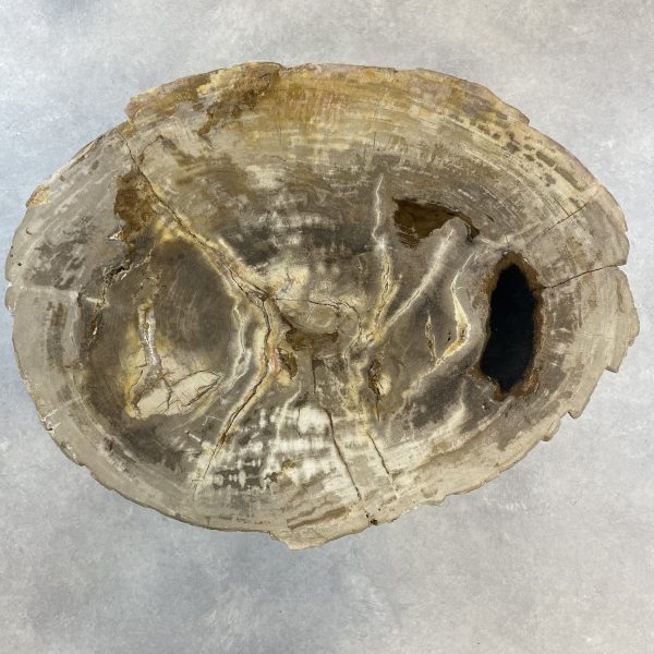 Couchtisch aus versteinertem Holz - Mix #232B4
